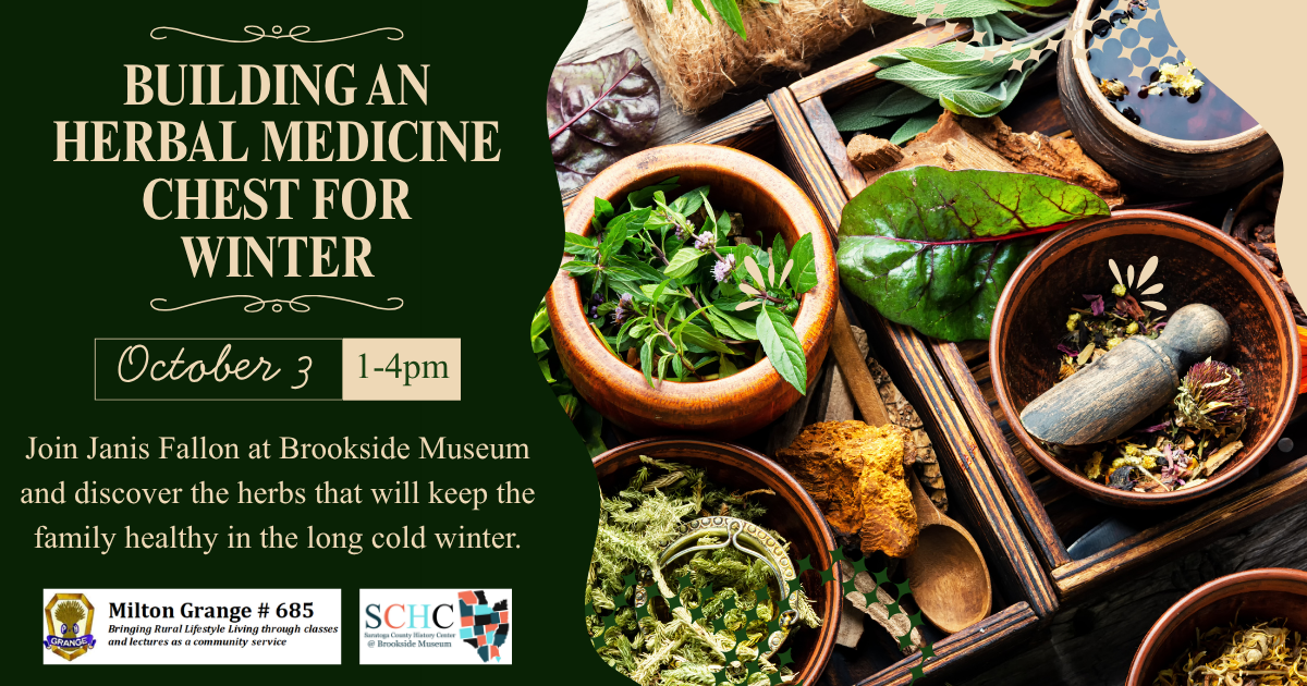 Building an Herbal Medicine Chest for Winter image