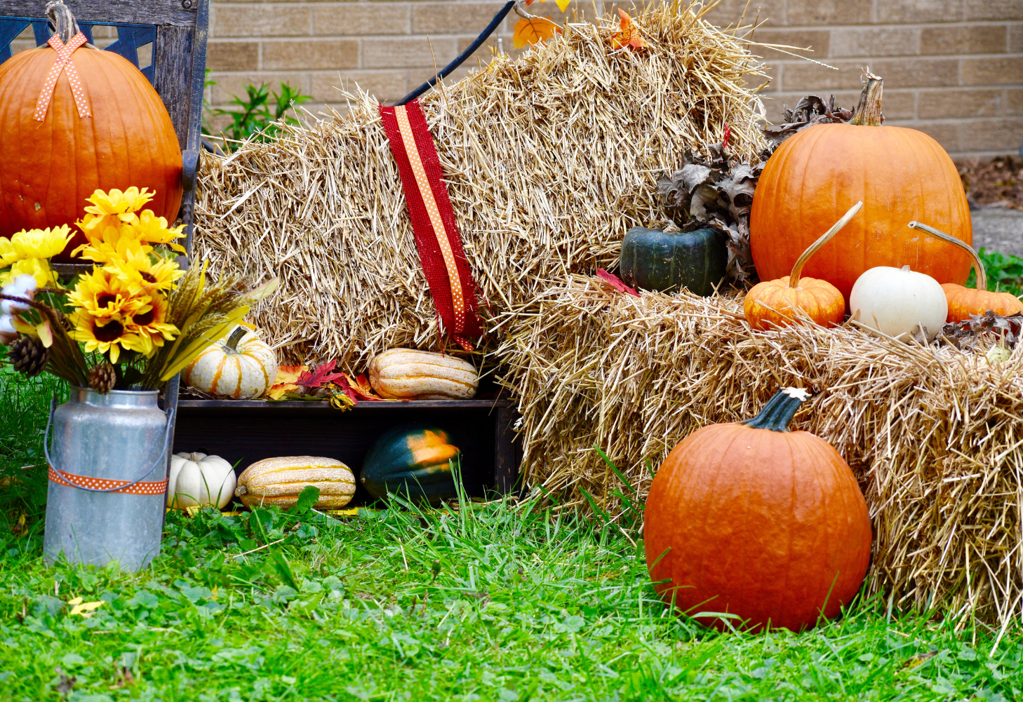 Vista Village Fall Fest, hosted by One Church image