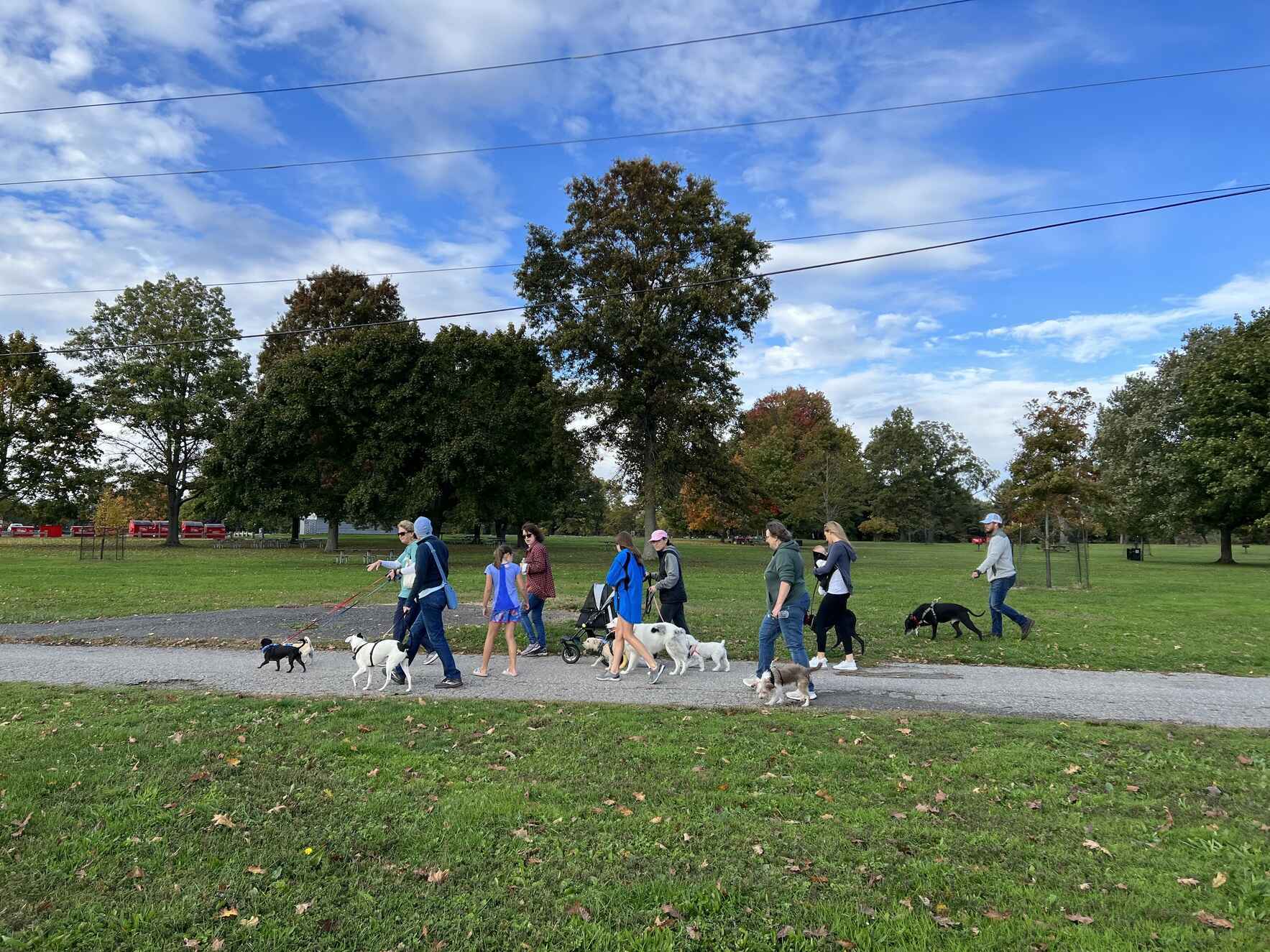 Come to the 5th Annual Walk with Piglet at Sherwood Island State Park in CT image