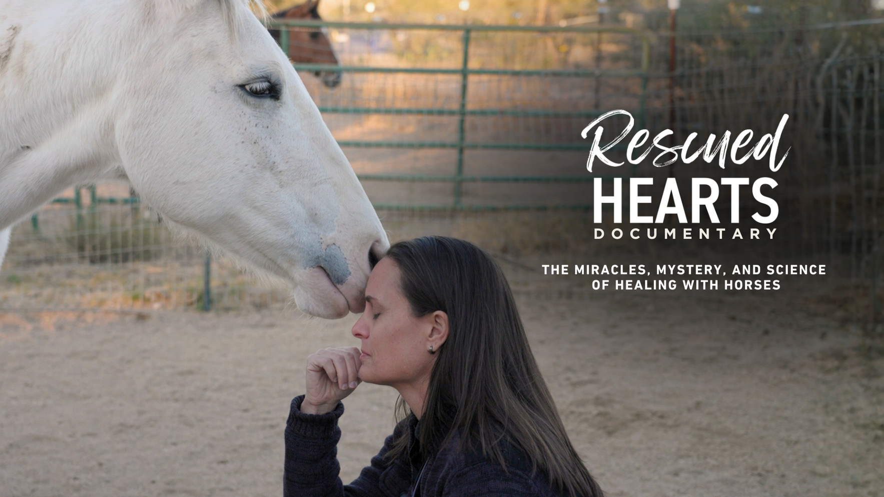 Rescued Hearts Film: First Hour Screening image