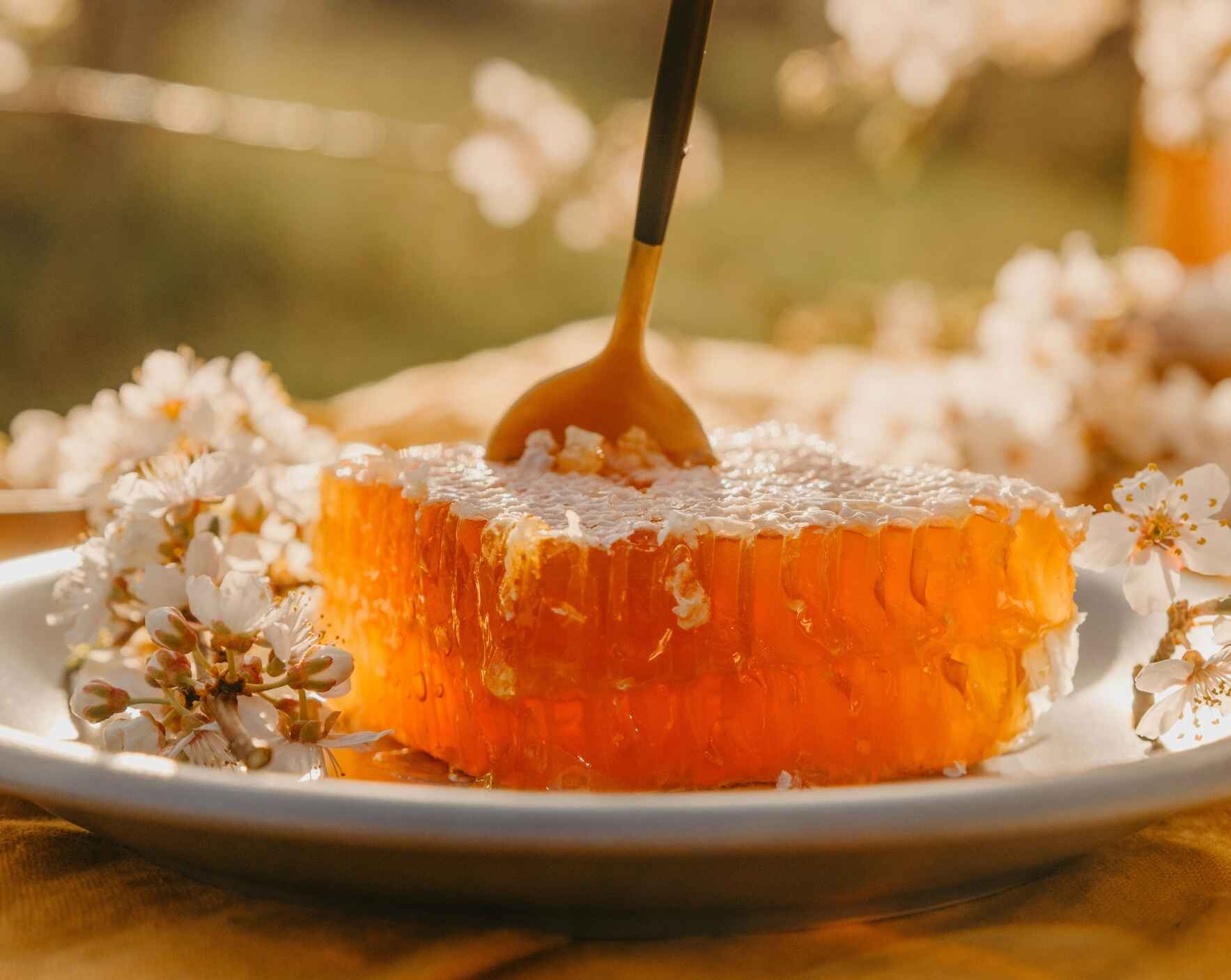 2026 Splendor of Honey Dinner Soiree | Giving Tuesday image