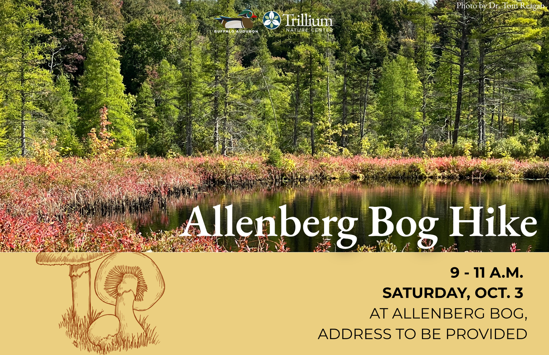 Allenberg Bog Hike image
