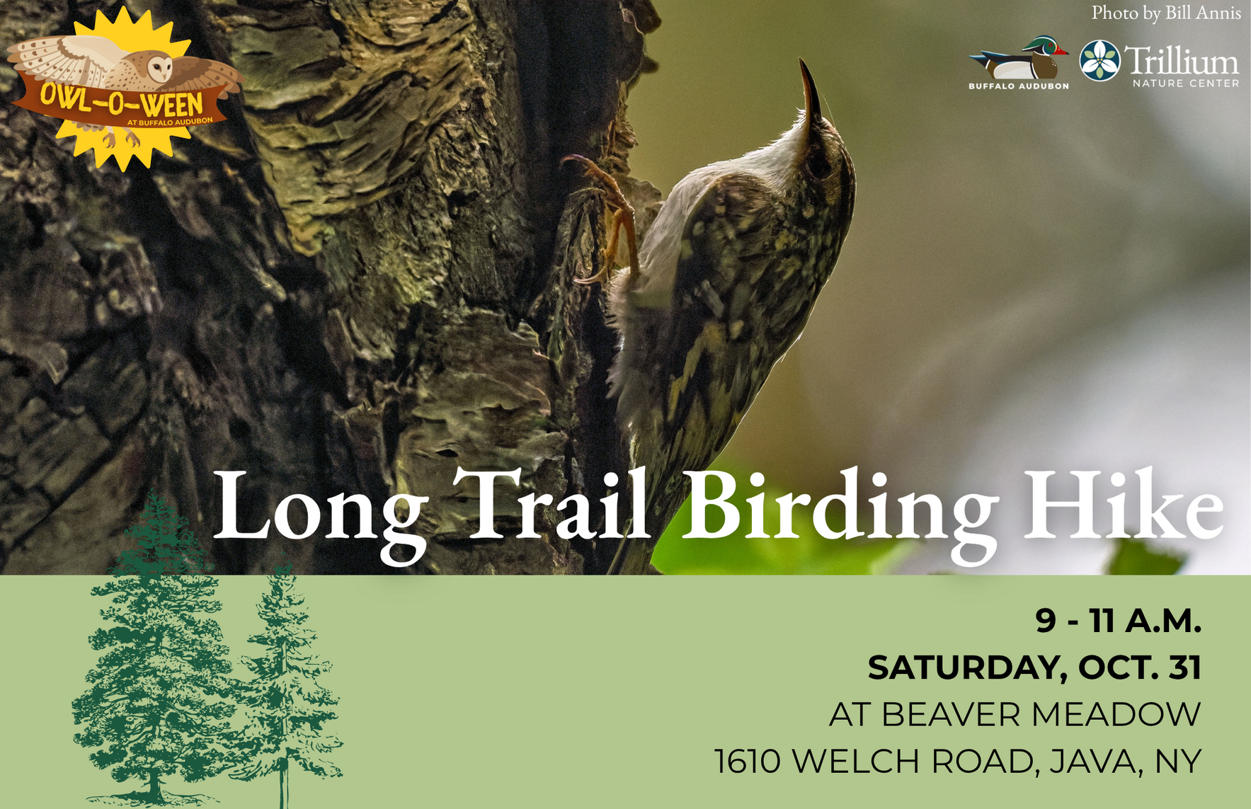 Long Trail Birding Hike image