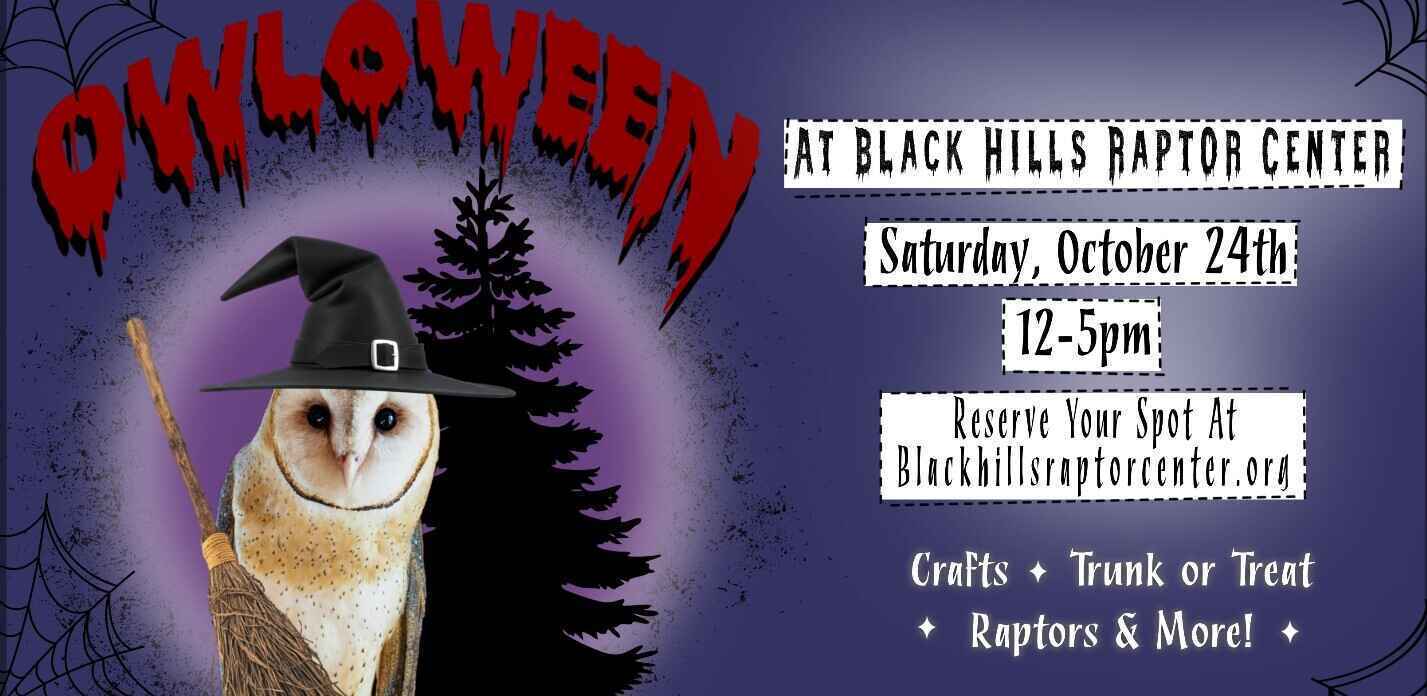 Owl-o-Ween 2026 image