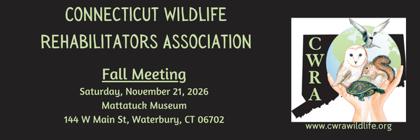 Fall Meeting 2026 image