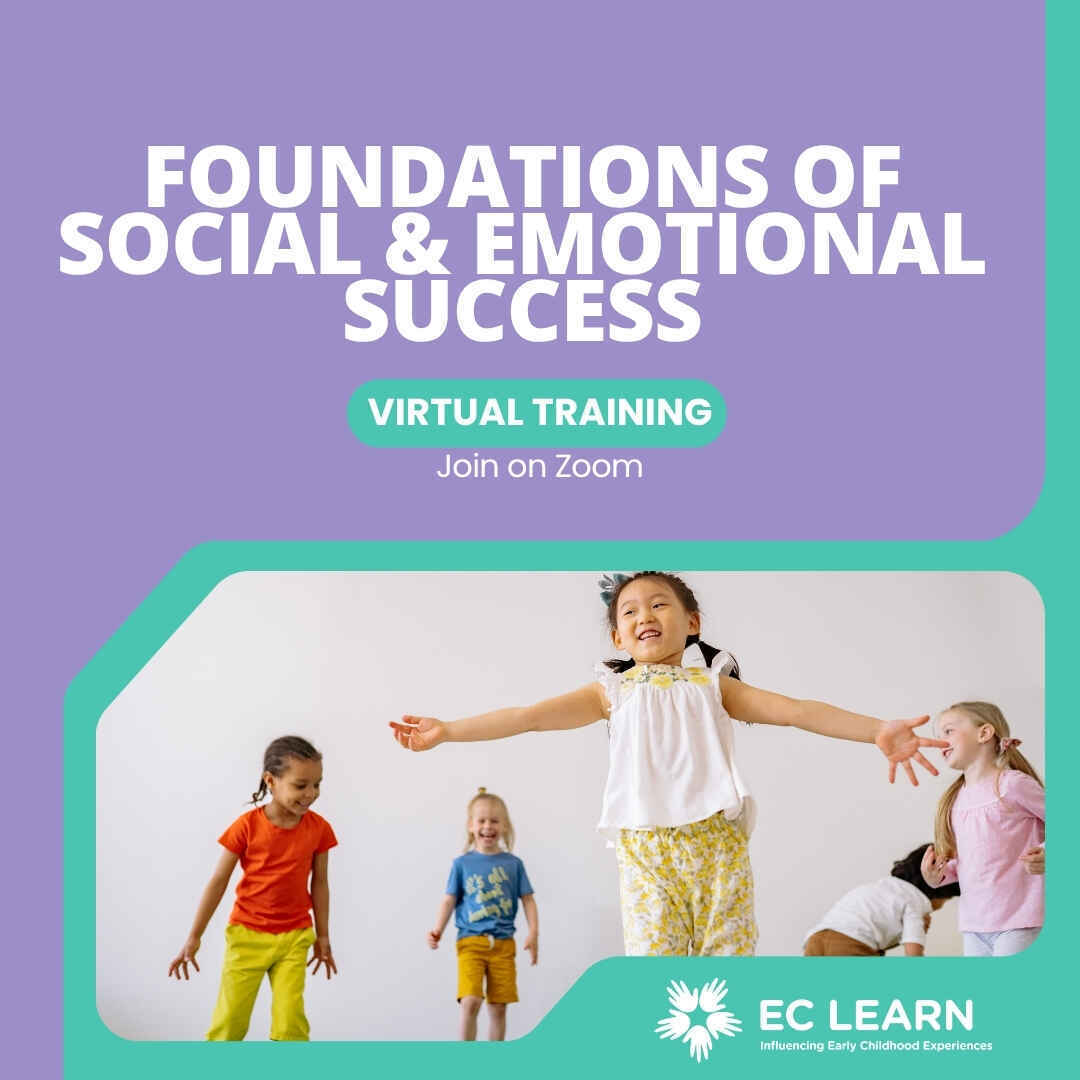 Foundations of Social & Emotional Success image