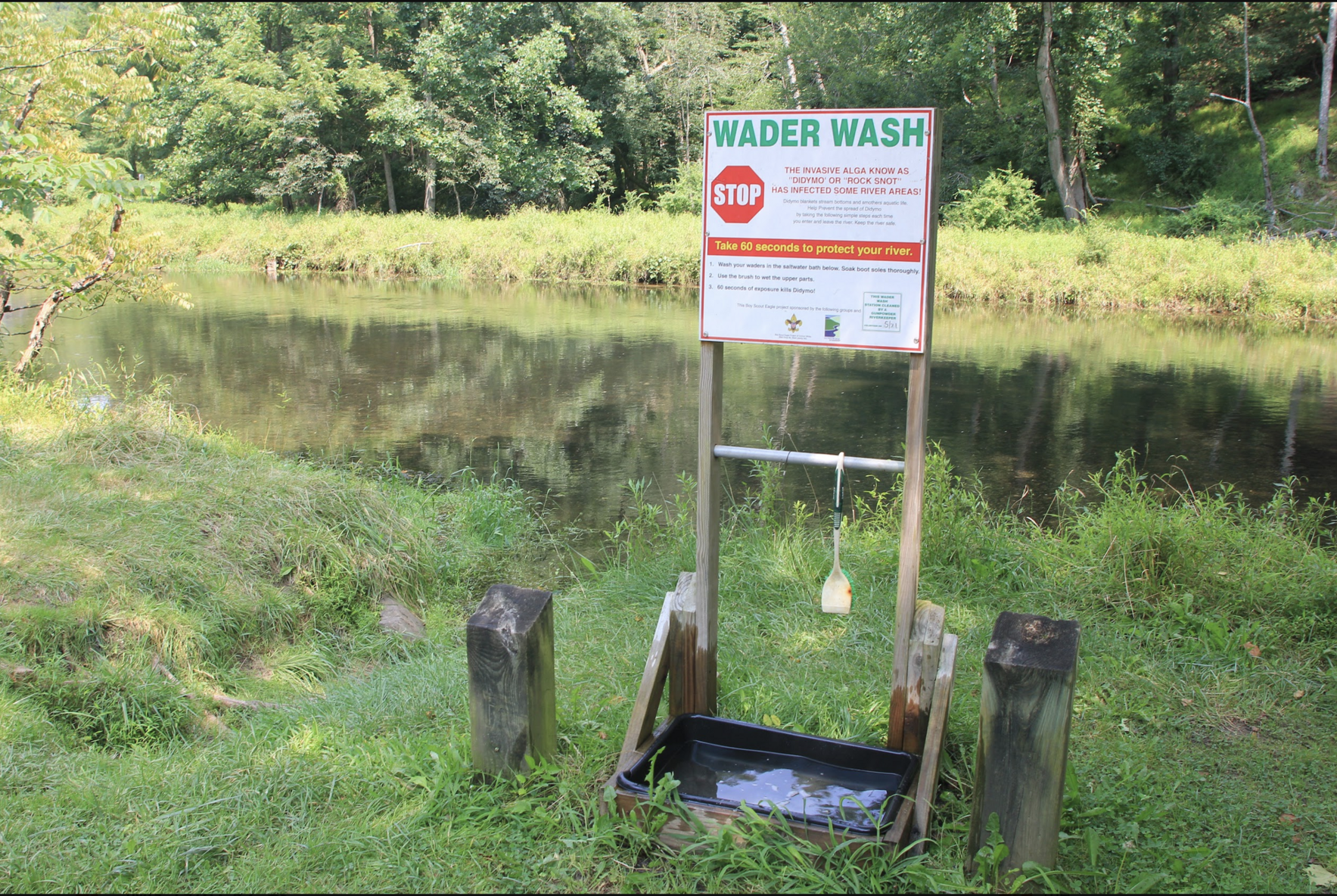 November Wader Wash Volunteer Training image