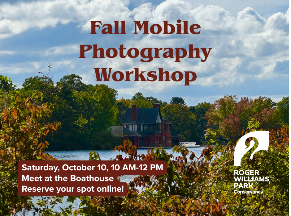 Fall Mobile Photography Workshop image
