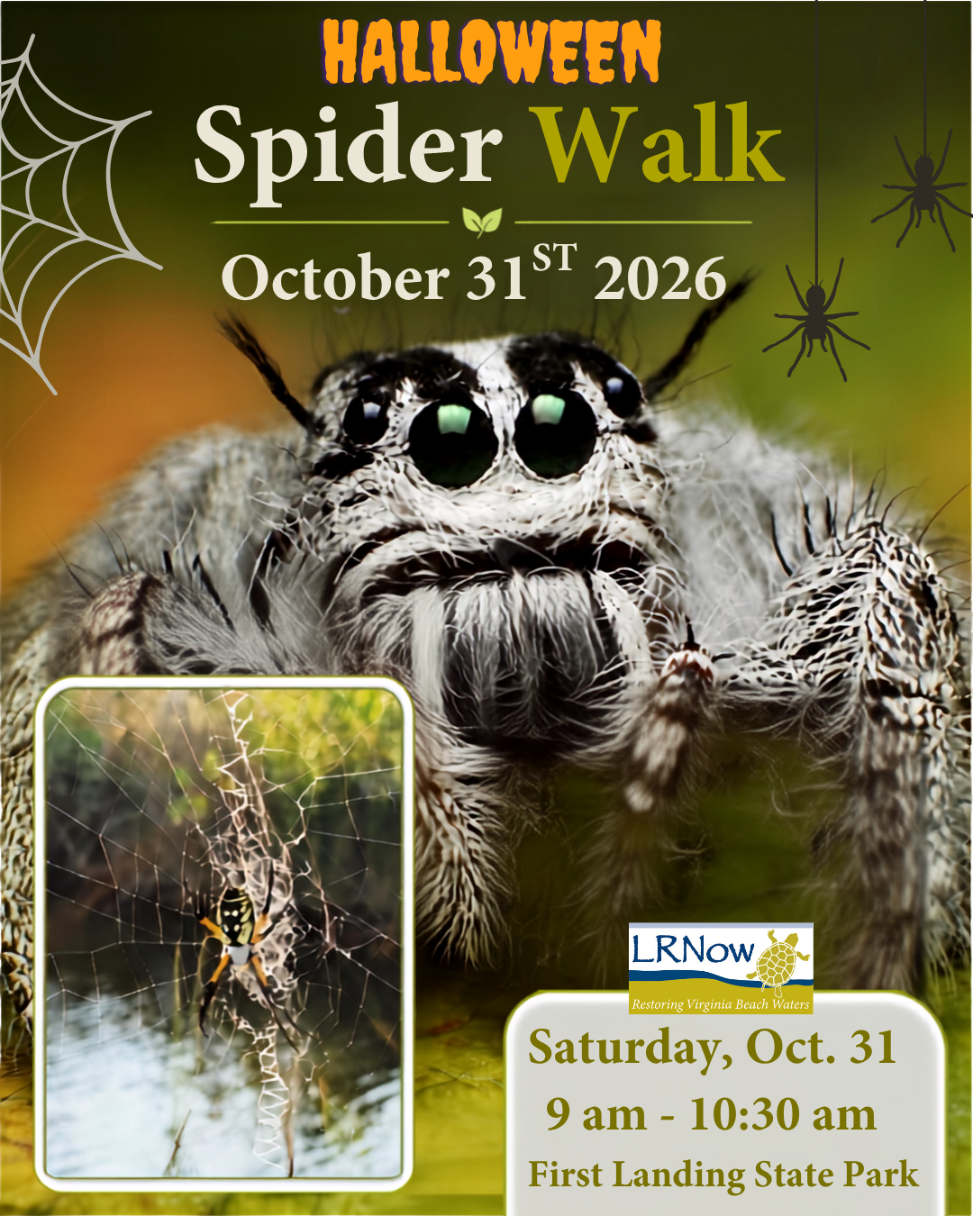 Halloween Spider Walk image