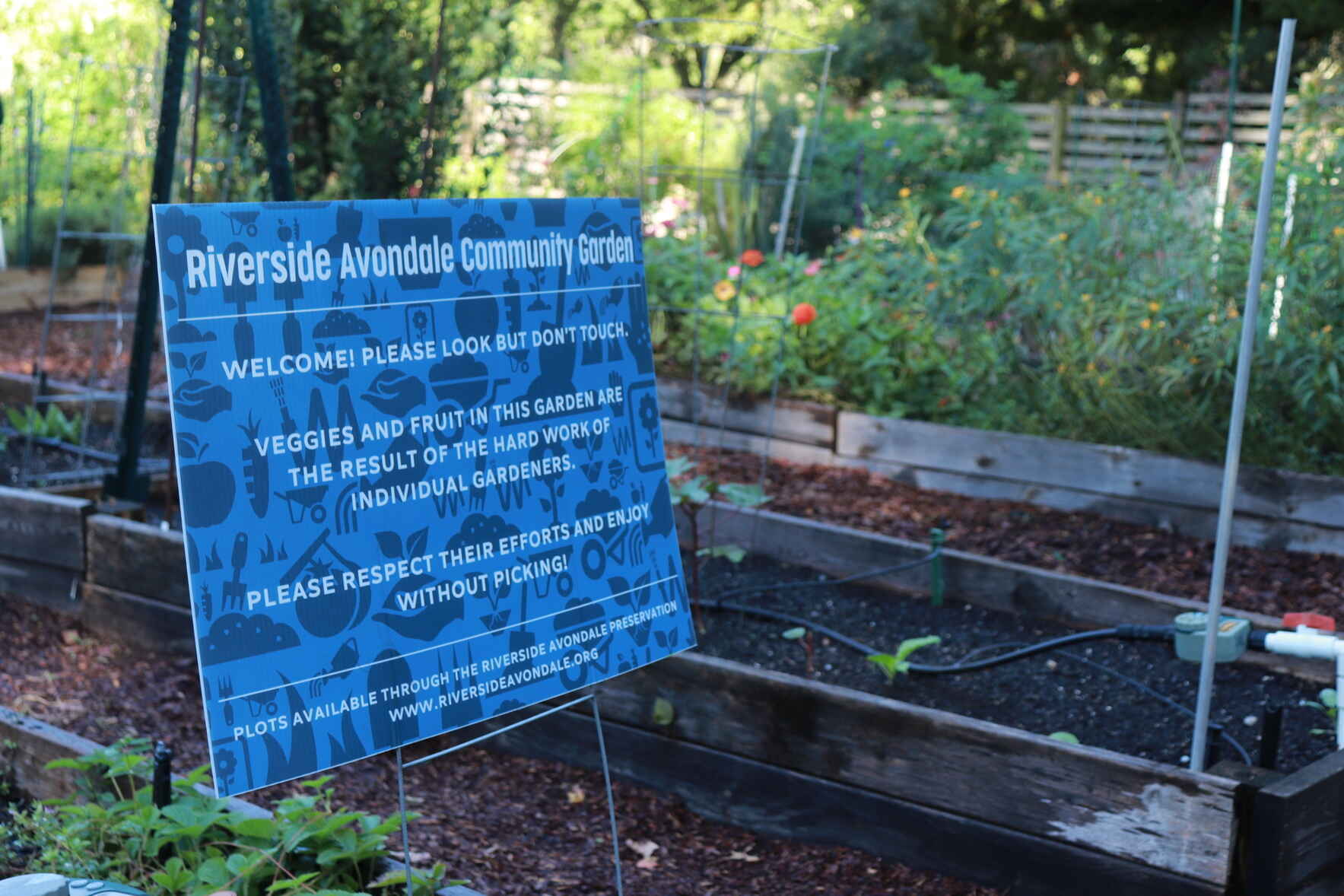 10th Anniversary Community Garden Supper image