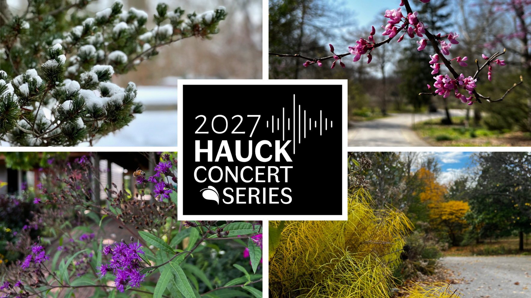 The 2027 Hauck Concert Series image