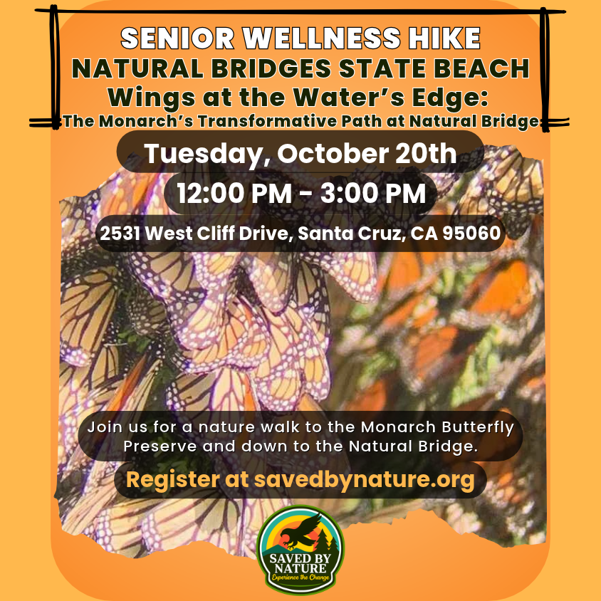 Monarch Butterfly Guided Hike - Seniors Hike for Health image
