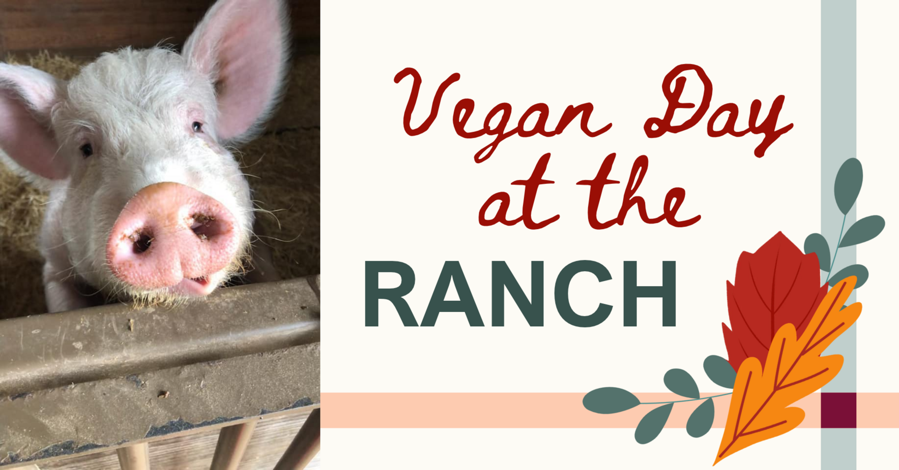 Vegan Day @ Randy's Rescue Ranch image