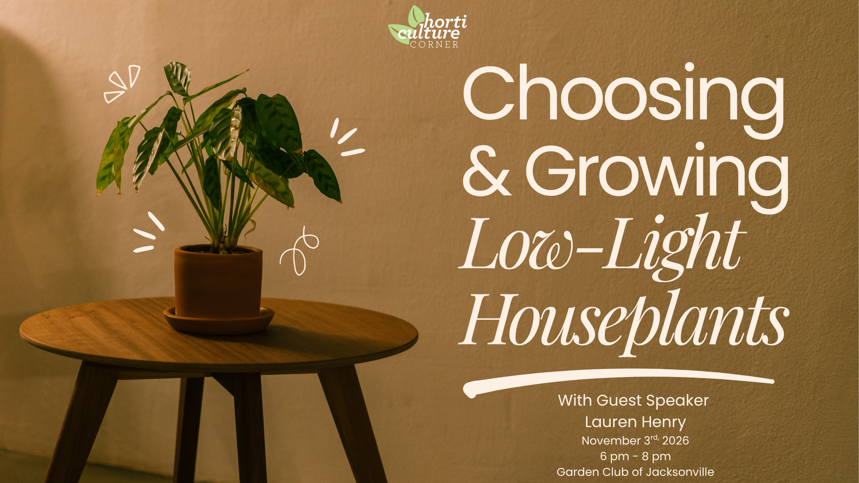 Horticulture Corner: Low-light Houseplants image