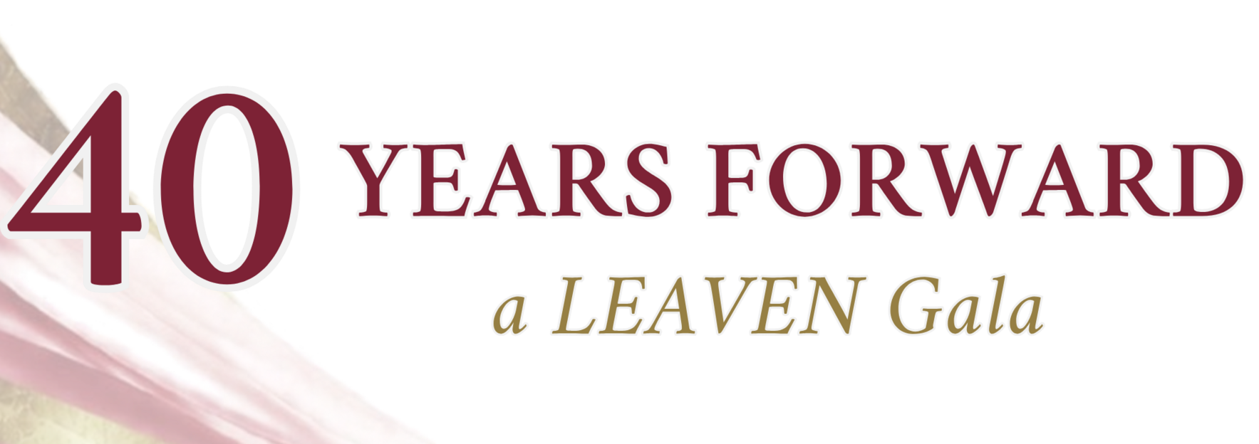 2027 LEAVEN Gala image