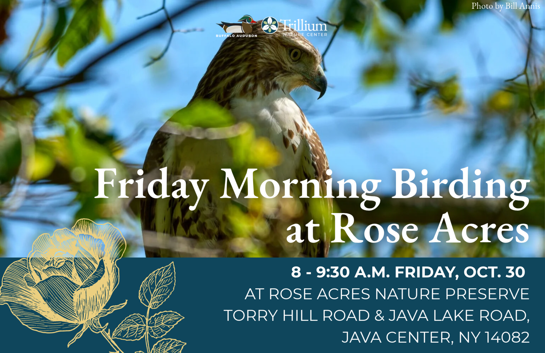 Friday Morning Birding - October 30th - Rose Acres image