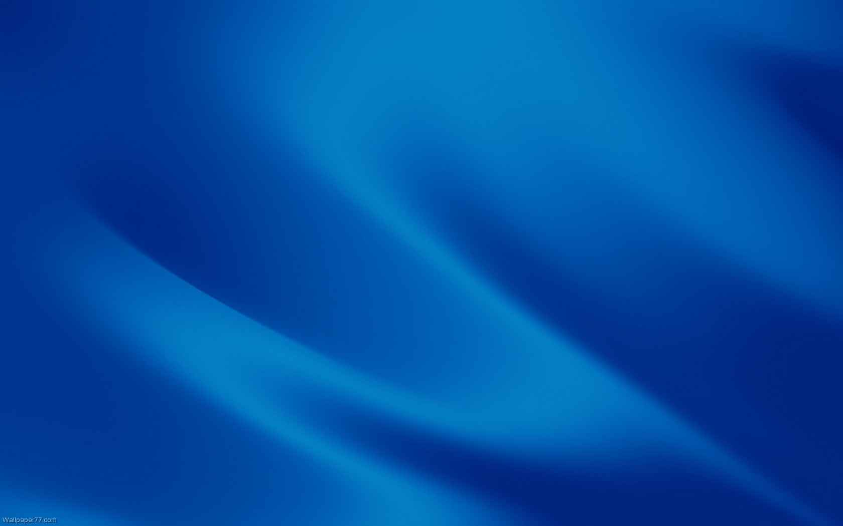 2019 Volunteers for Justice Dinner image