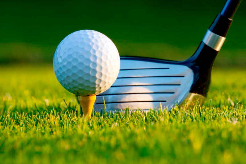 In Stepps Academy 2019 Golf Tournament image