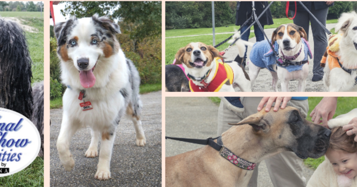 National Dog Show Charities National Dog Show Charity Walk