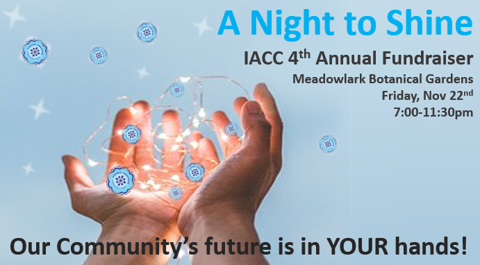 IACC 4th Annual Fundraiser - Shine Your Light on Pars Place and SPONSOR! image