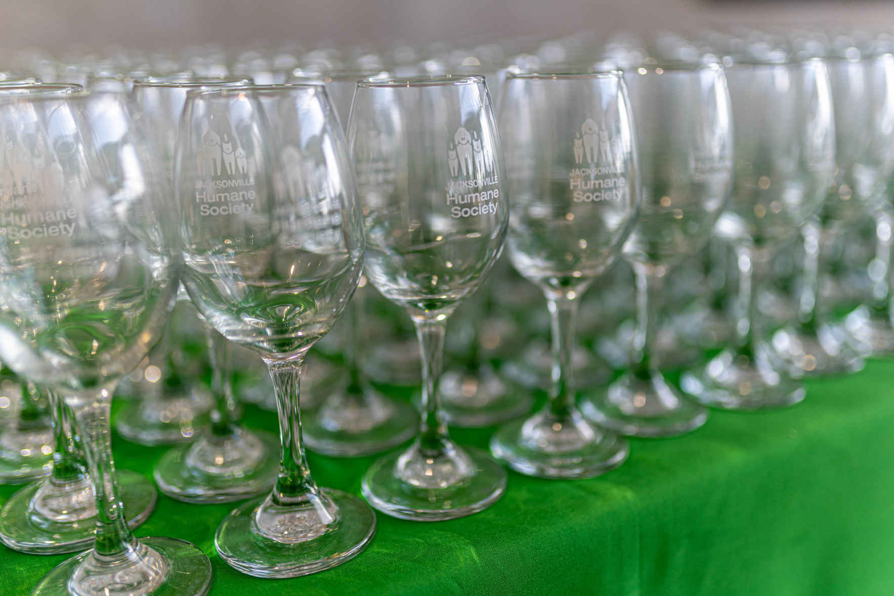 22nd Annual Toast to the Animals image