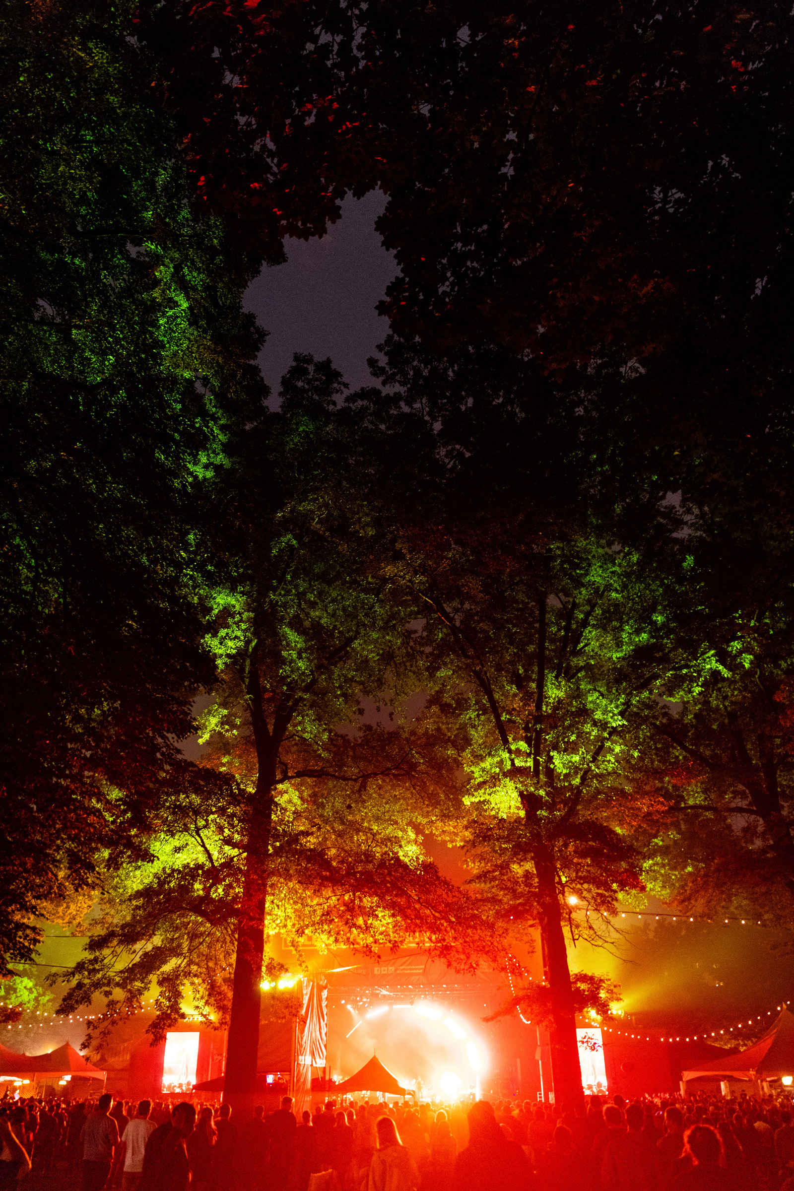 Important Updates: 2020 BRIC Celebrate Brooklyn! Festival image
