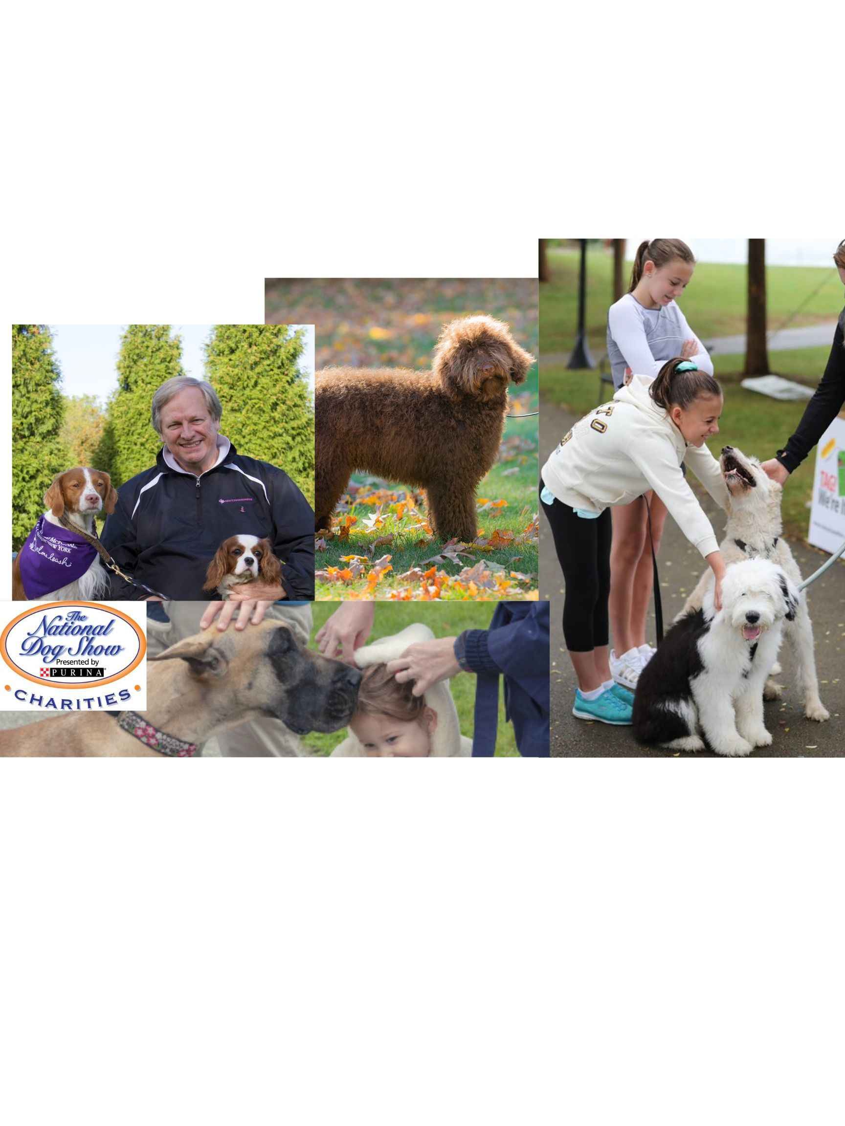 National Dog Show Charities - National Dog Show Charity Walk 2020