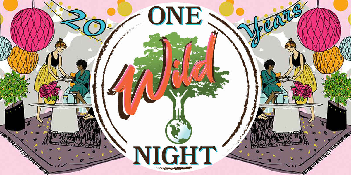 One Wild Night image