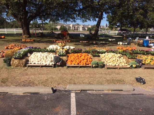 WINGS 2020 Fall Festival image