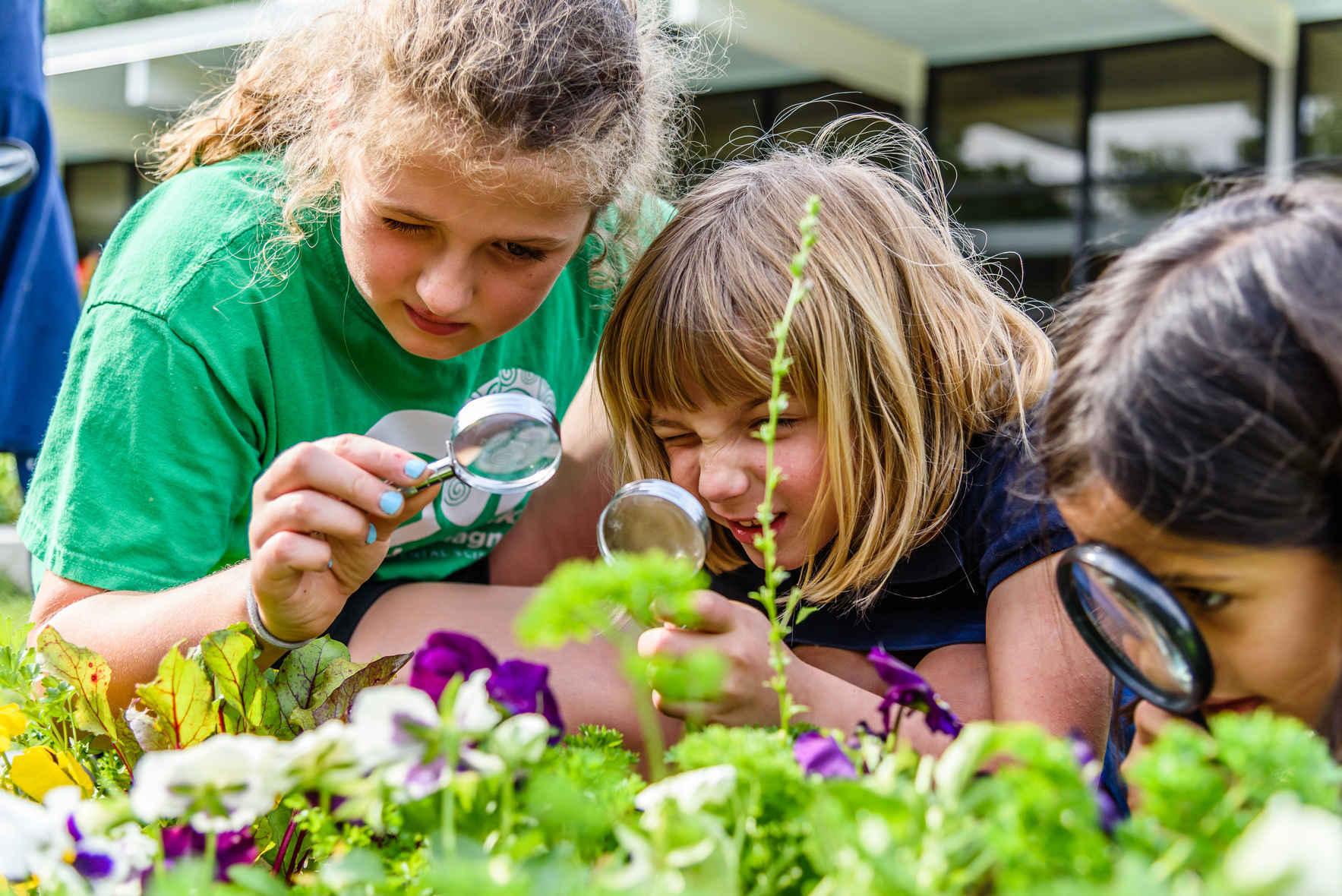 Urban Harvest Grow Resilience: UHI School Gardening Guide image