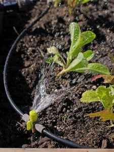 Online Education: Low Volume Irrigation image