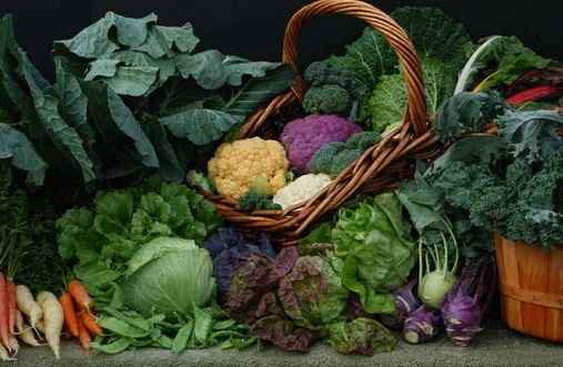 Urban Harvest Classes September - December 2020 image