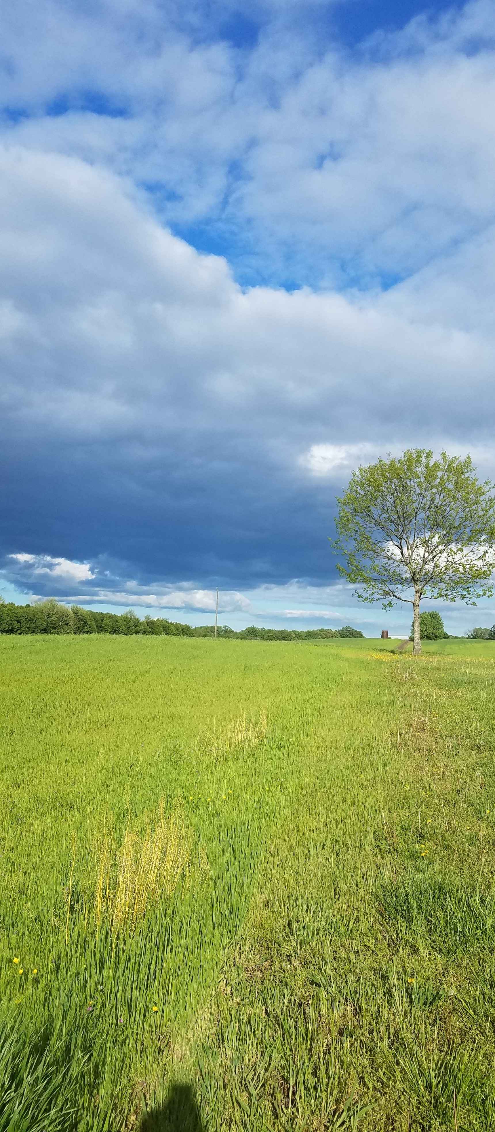 Central Virginia Battlefields Trust 2021 Conference image