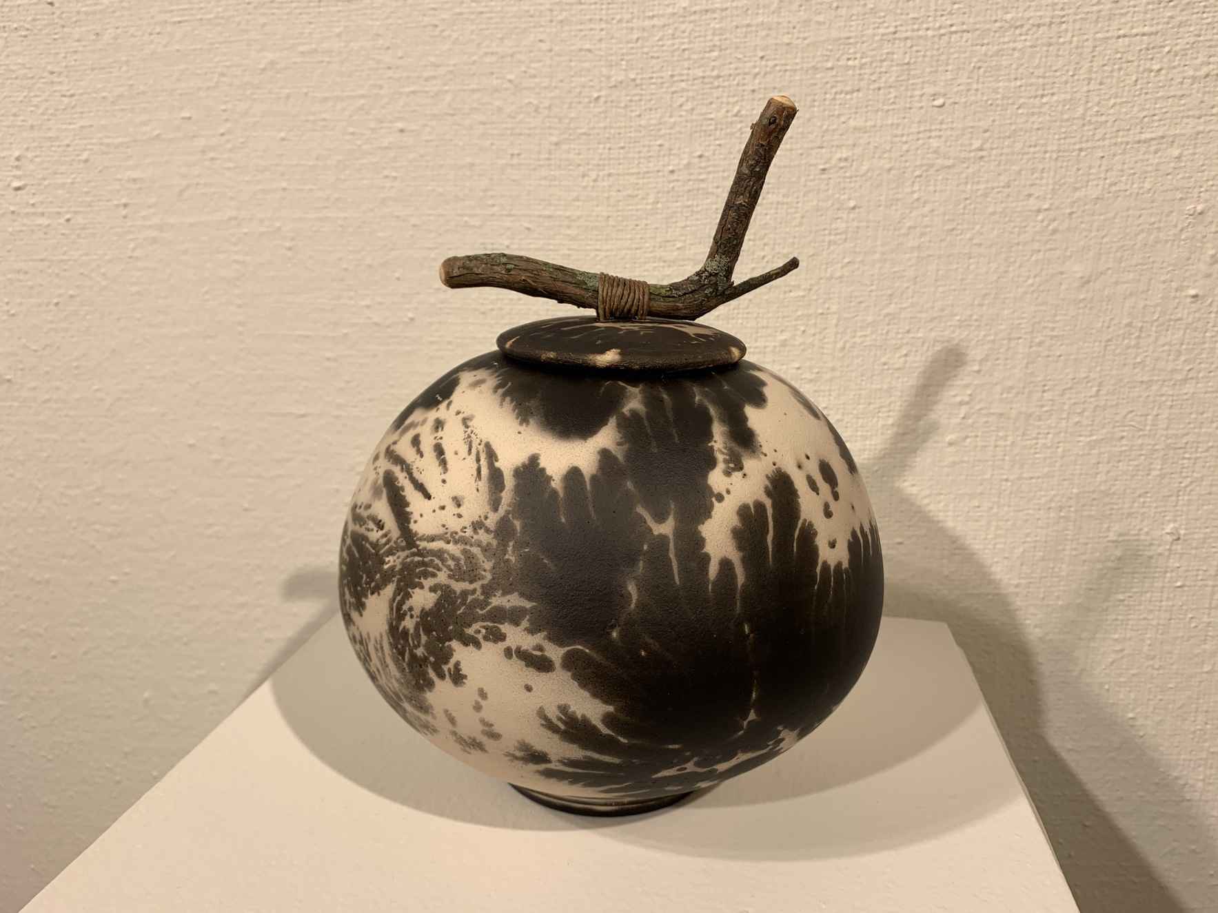 Quincy Art Center Obvara Pottery 1 by Steve Ryan