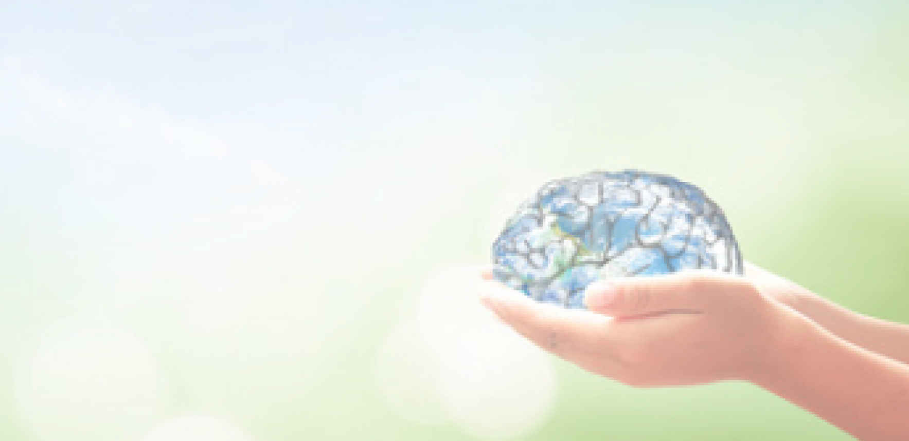 November Mental Health First Aid Training image