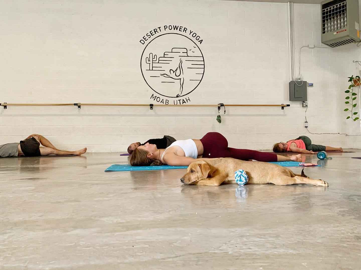 Downward Dog for Cause image