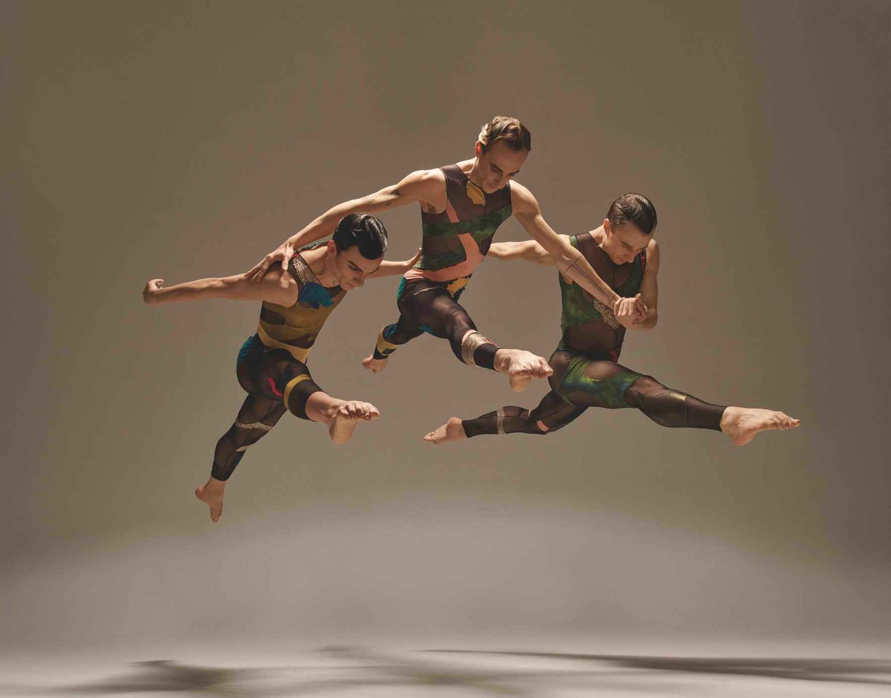 IN ABSENTIA by Stephen Petronio image