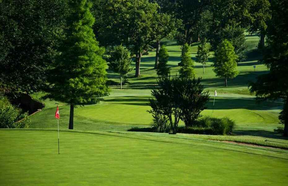 2021 Wings Open Golf Tournament image