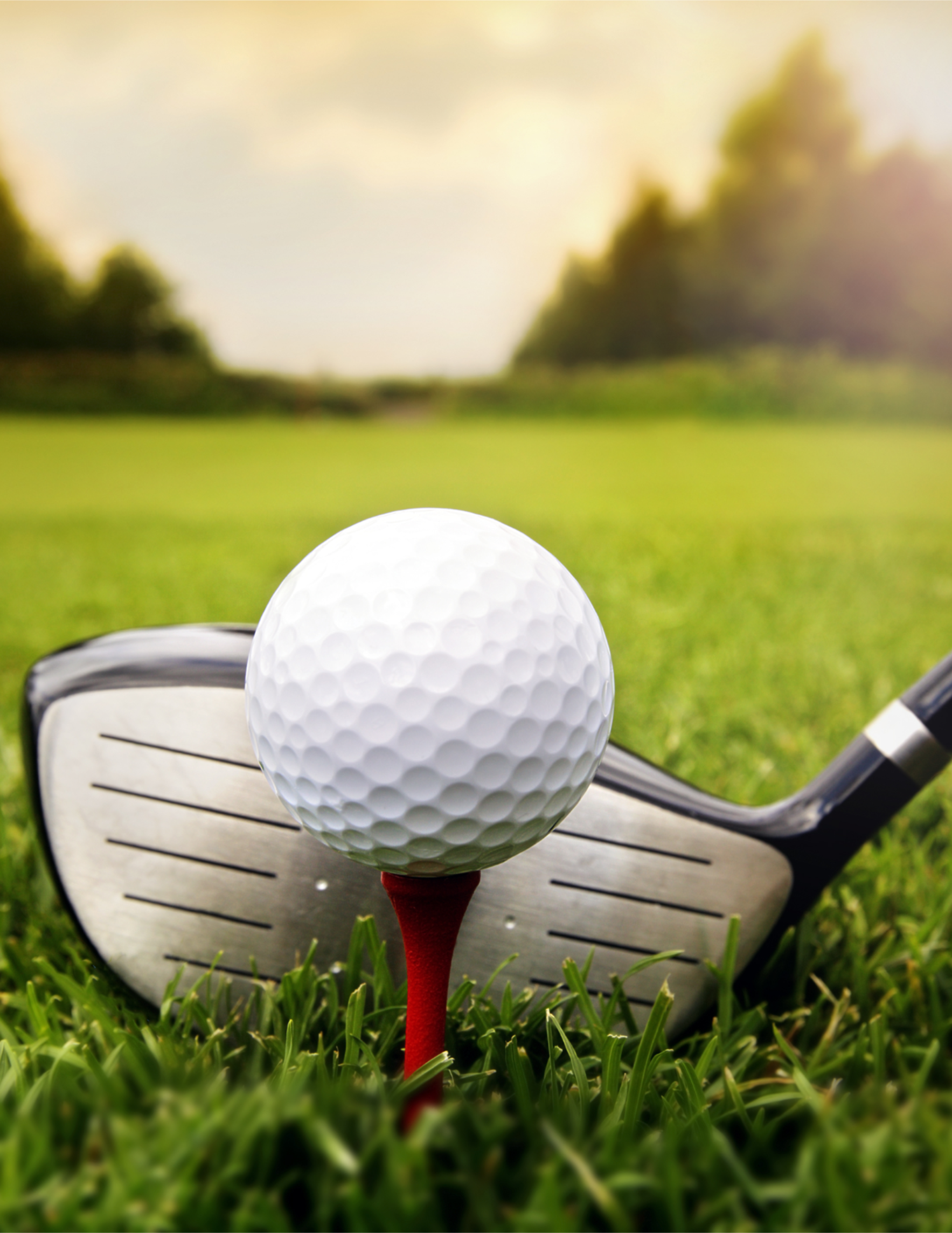 "Healing with Horses" Golf Outing image