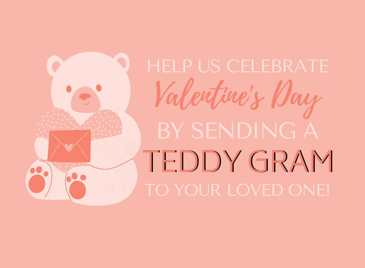 Valentine's Teddy Grams image