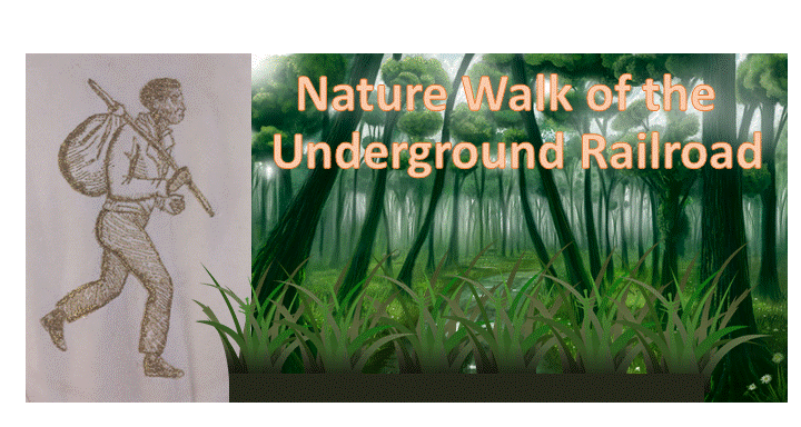 Nature Walk of the Underground Railroad image