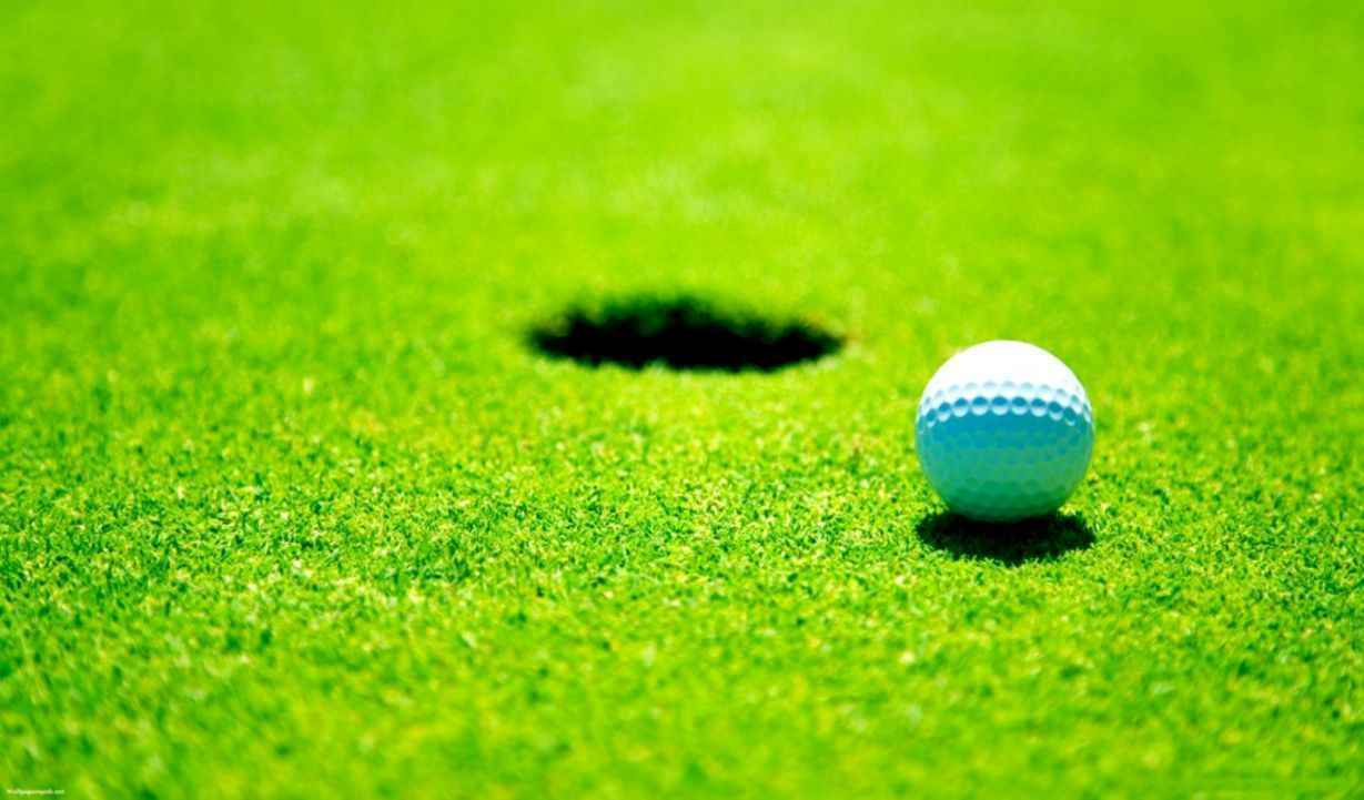 29th Annual Golf Classic 2021 image
