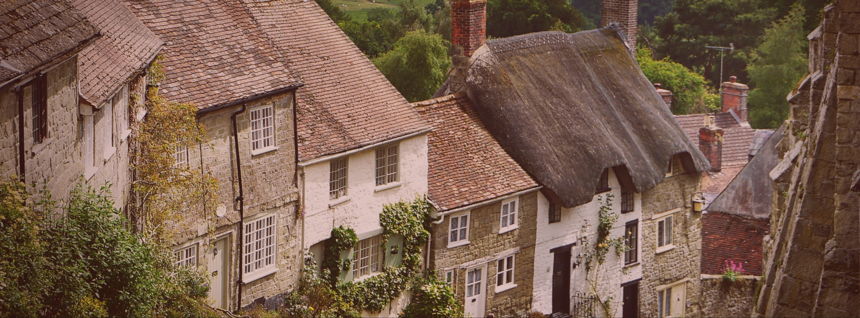 The Neighborhood Halaqa | Winter 2021 Edition image