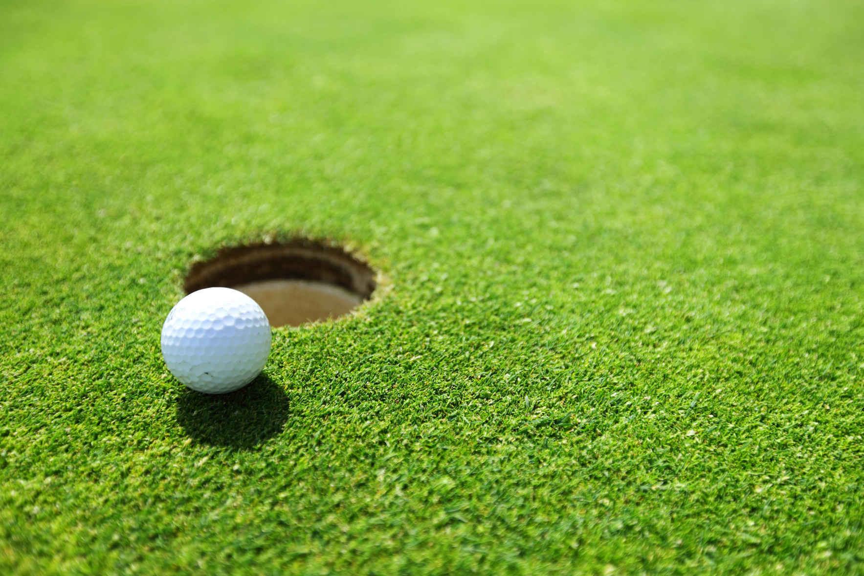 Healing Arts' 2nd Annual Children's Mental Health Awareness Charity Golf Tournament image