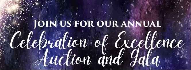An Evening Under the Stars Gala & Celebration of Excellence image