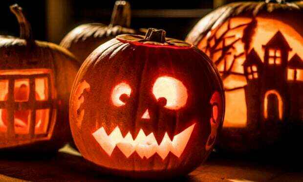 2021 HALLO-WINC Pumpkin Contest image
