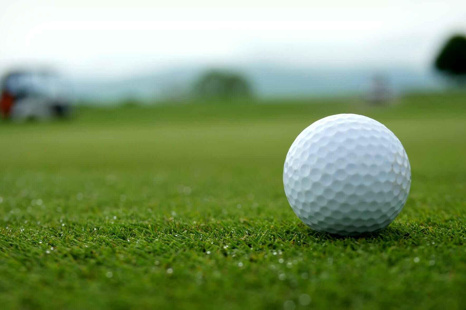 Rebuilding Together Montgomery County 2021 Golf Tournament image