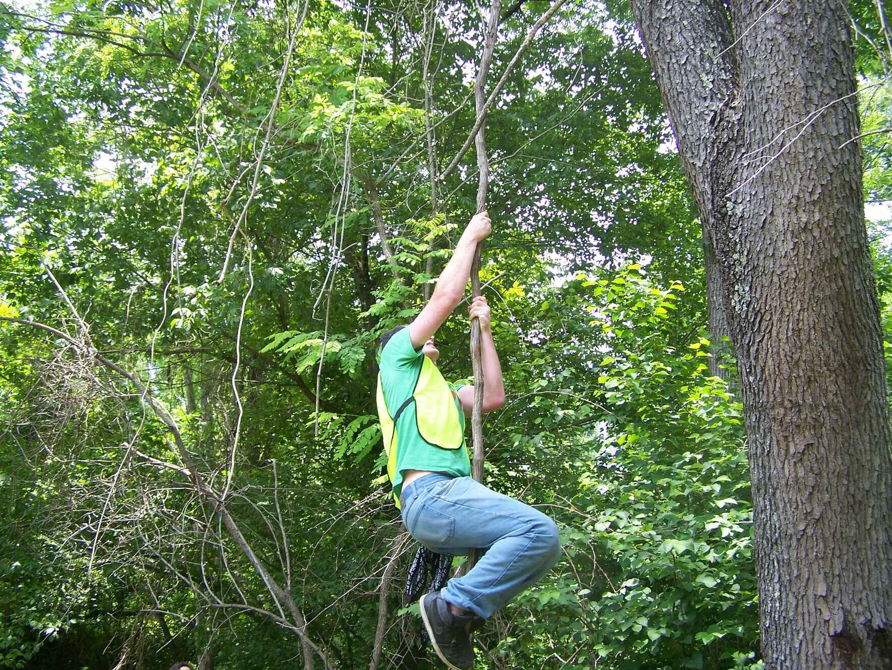 Hominy Creek Greenway Tree Save Day image