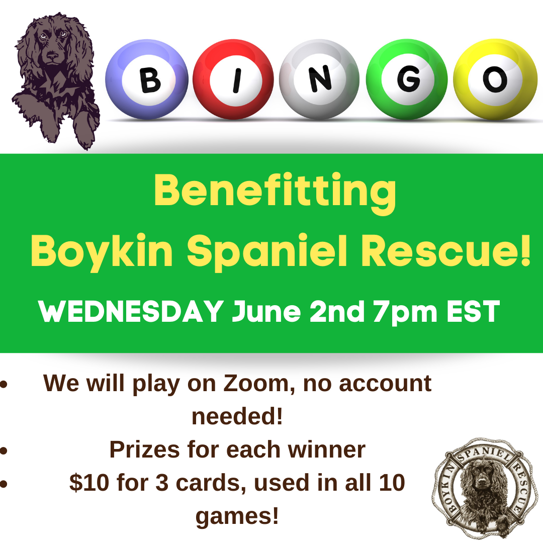Boykin Bingo June 2nd 2021 7pm EST image