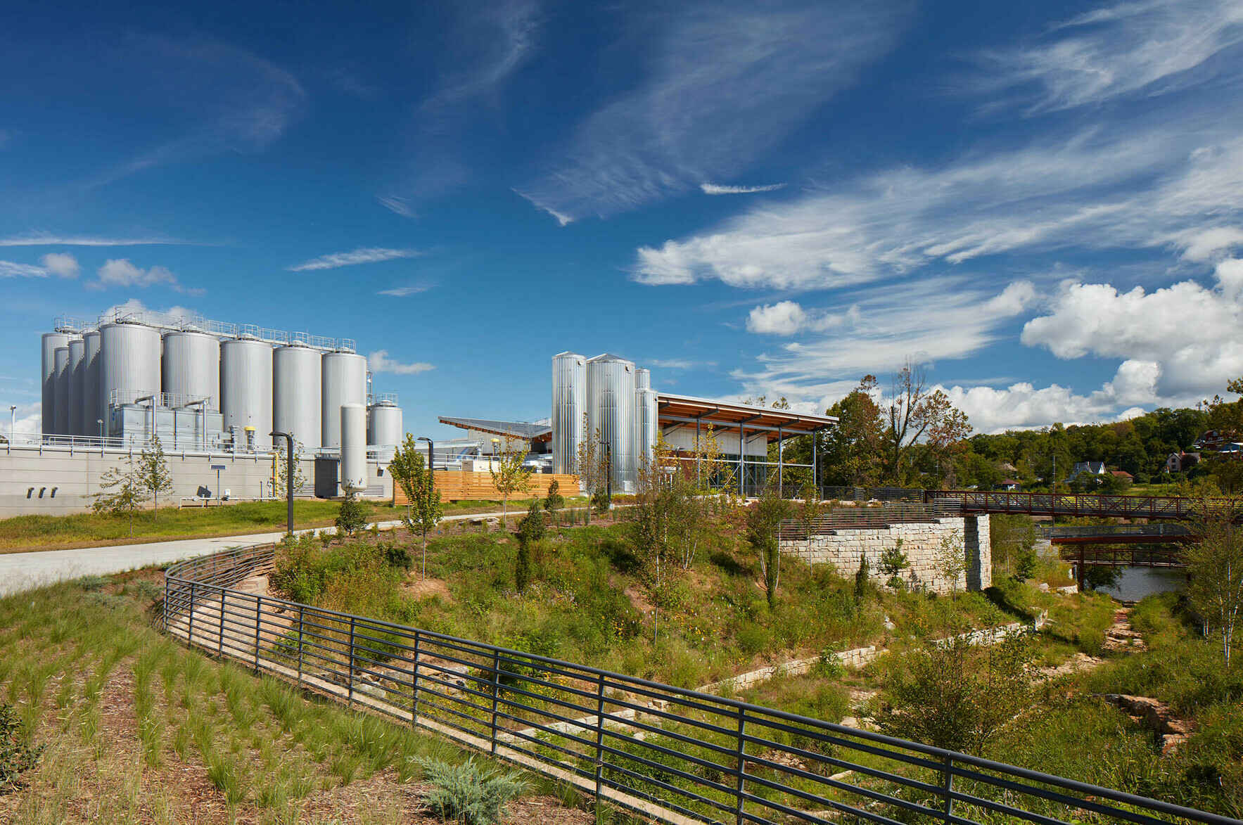 New Belgium Pollinator-Friendly Landscape Tour image